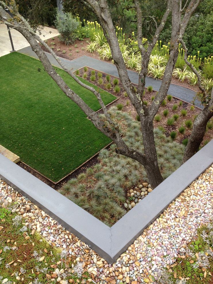 Xeriscape for a Modern Landscape with a Lawn and Modern Garden/ Green Roof by Costello Kennedy Landscape Architecture