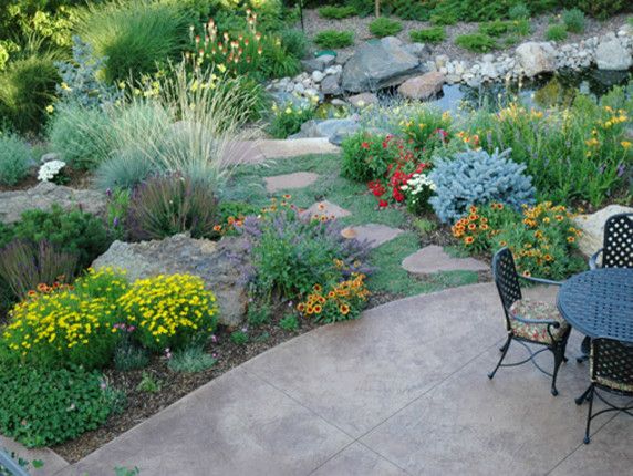 Xeriscape for a Traditional Landscape with a Arid Landscape and Xeric by Lifescape Colorado.