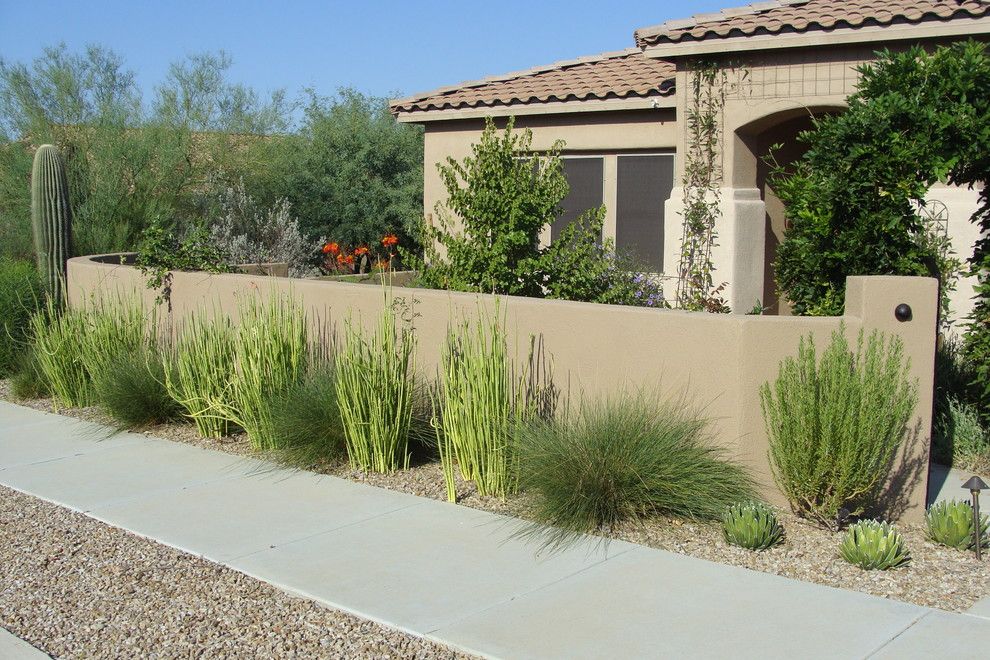 Xeriscaping for a Mediterranean Landscape with a Xeriscape and Marana Courtyard by Casa Serena Landscape Designs Llc