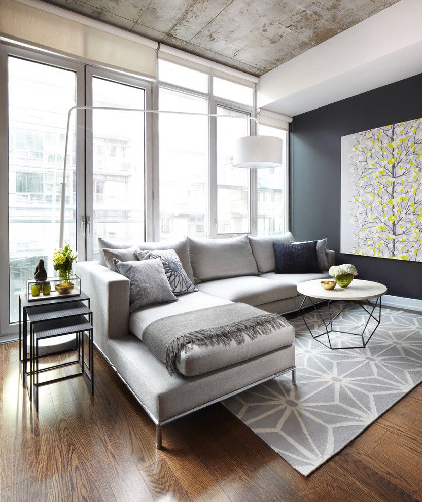 Yoiu for a Contemporary Living Room with a Small Condo and Project in Progress by Lisa Petrole Photography