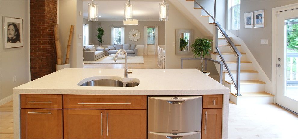 Cleaning Dishwasher with Vinegar for a Contemporary Kitchen with a Kitchen Hardware and Converted Carriage House by Melissa Miranda Interior Design