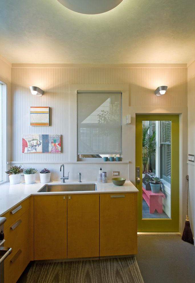 Cleaning Dishwasher with Vinegar for a Contemporary Kitchen with a Stainless Steel and Kitchen Remodel by Justrich Design