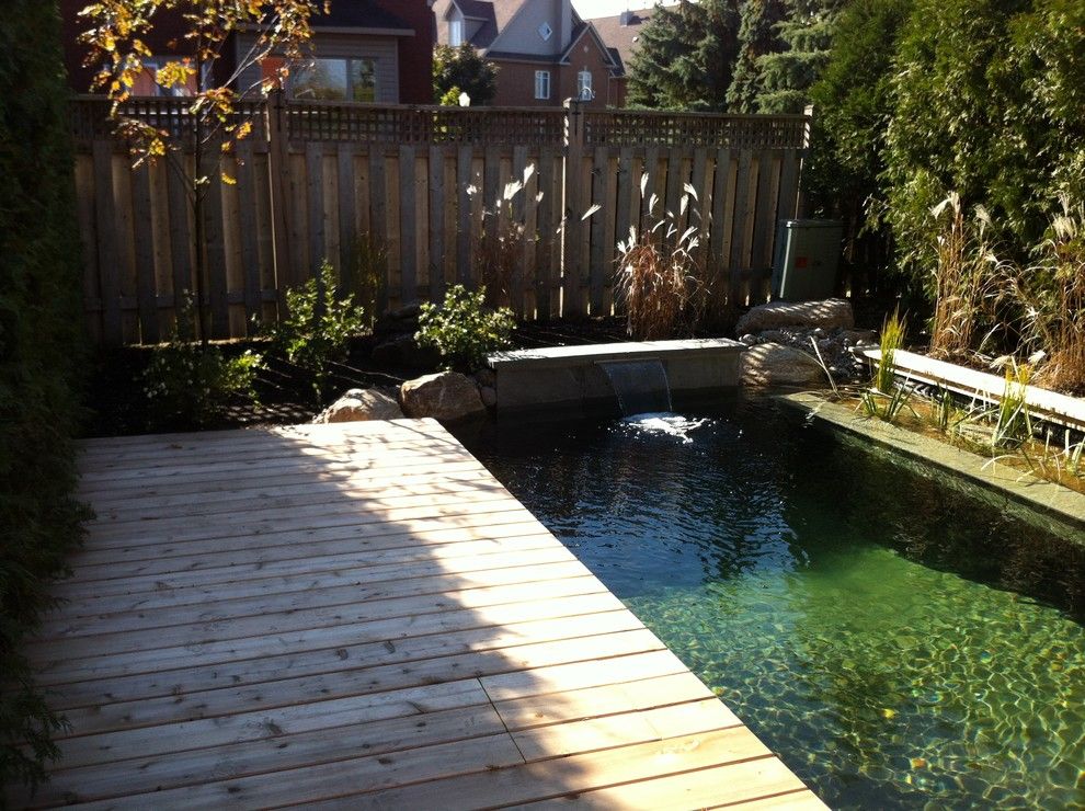 Exposed Aggregate Concrete for a Traditional Pool with a Natural Pool and Piscine Naturelle by Symbiose Paysage Inc.