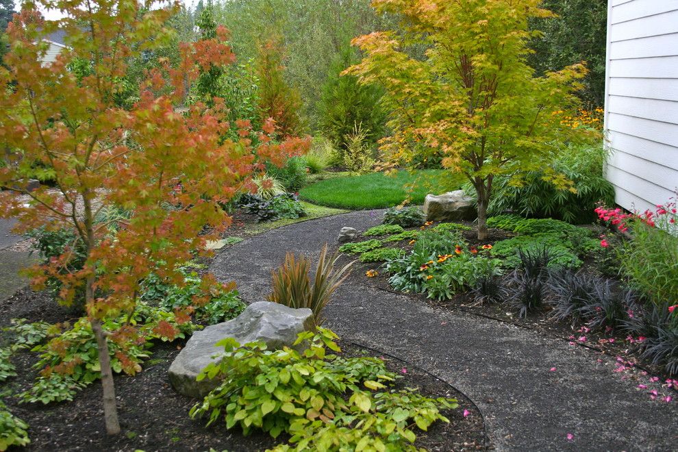 Maple Lawn Farms for a Traditional Landscape with a Black Mondo Grass and After: New Curving Gravel Path by Visionscapes Nw Landscape Design