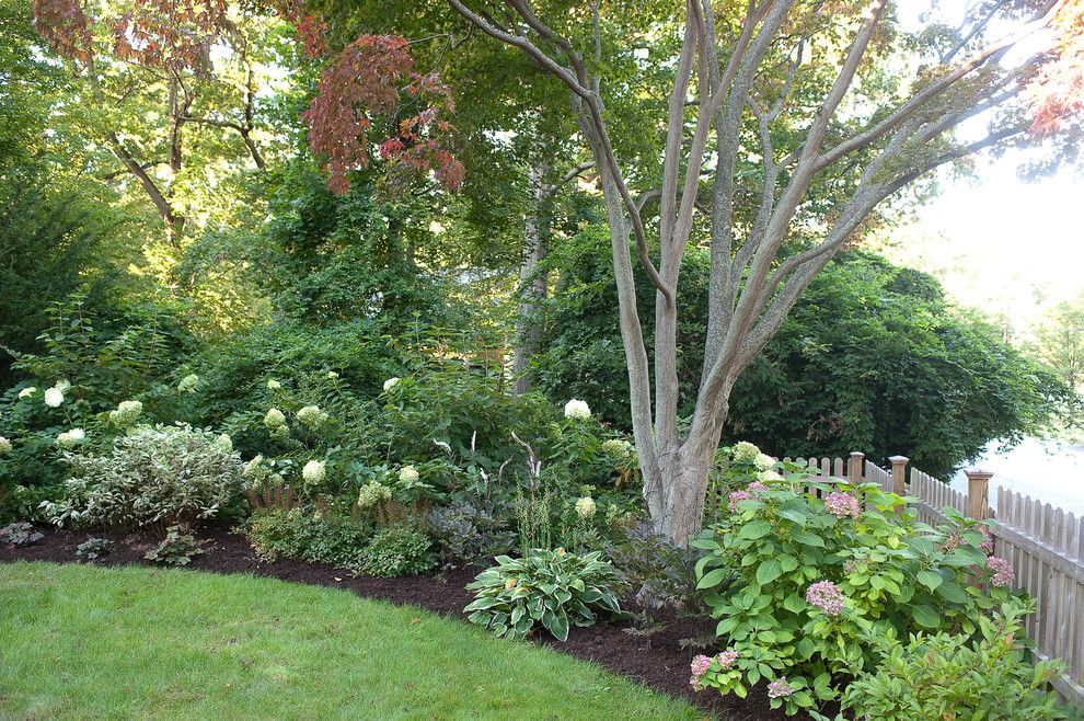 Maple Lawn Farms for a Traditional Landscape with a Lawn and Less Lawn More Garden by Westover Landscape Design, Inc.