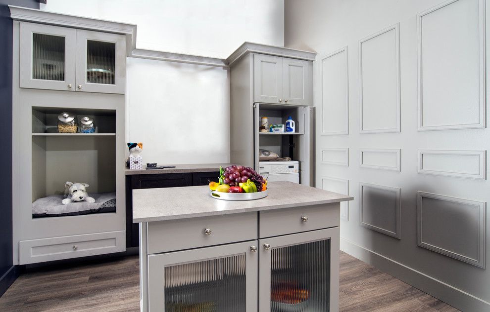 Midwest Homes for Pets for a Contemporary Kitchen with a Fluted Glass and Wellborn Cabinet by Wellborn Cabinet, Inc.