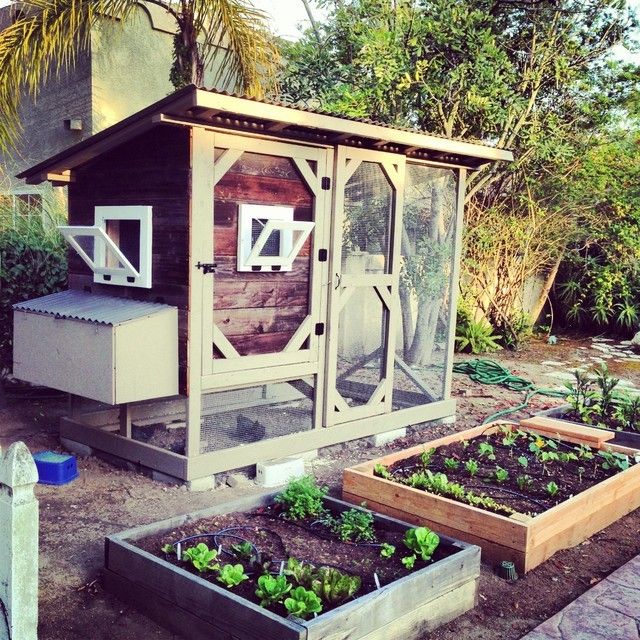 Reclaimed Wood San Diego for a Traditional Landscape with a Sustainable and Reclaimed Wood Chicken Coop by San Diego Woodworks