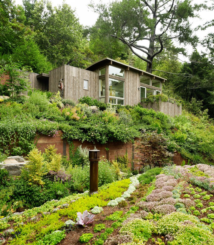 Restaining Wood for a Contemporary Shed with a Hillside and Mill Valley Cabins by Feldman Architecture, Inc.