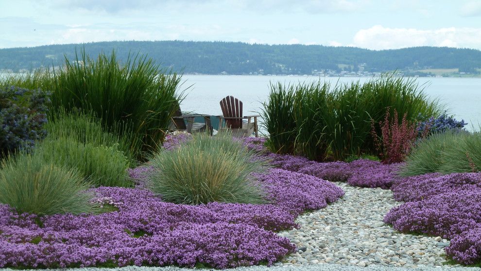 Soft Caress Mahonia for a Beach Style Landscape with a Dry River Bed and Coan Waterfront Landscape, Camano Island, Wa by Lankford Associates Landscape Architects