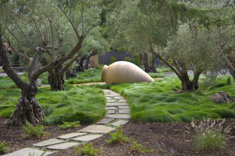 Water Gardens Pleasant Grove for a Contemporary Landscape with a Olive Trees and Saratoga Estate by Kikuchi + Kankel Design Group