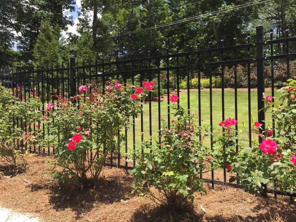 Allied Fence for a Traditional Landscape with a Custom Wrought Iron Gate and Ornamental Fences and Gates by Allied Fence Co