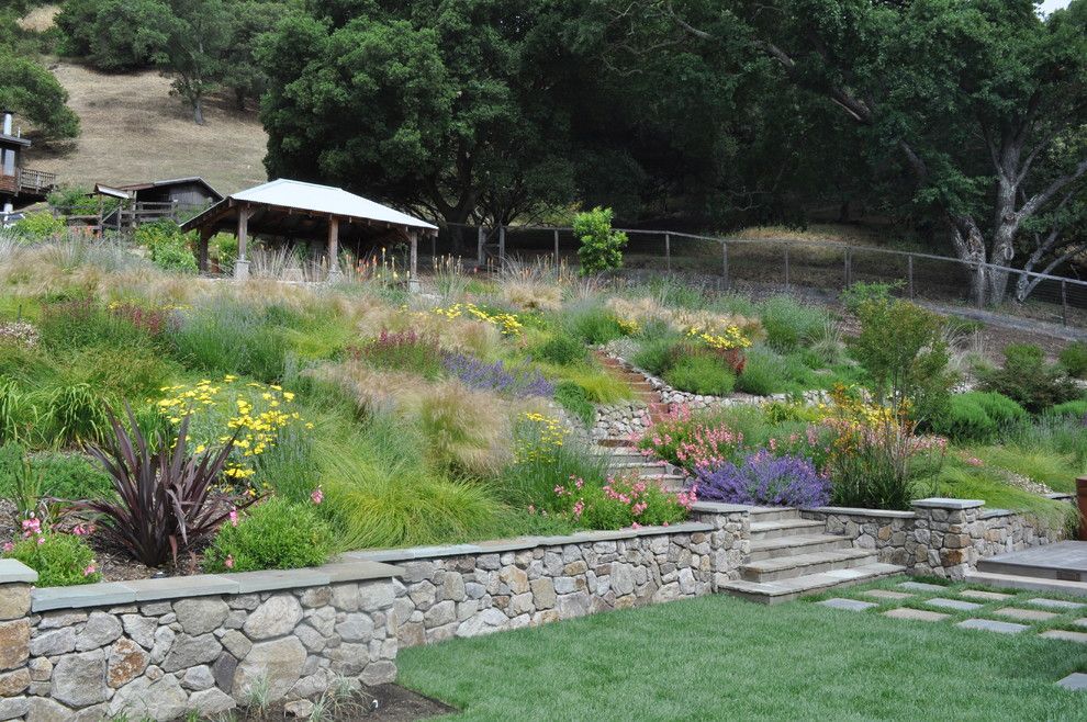 Allside for a Mediterranean Landscape with a Mediterranean and Northern California Regional Hillside by Huettl Landscape Architecture