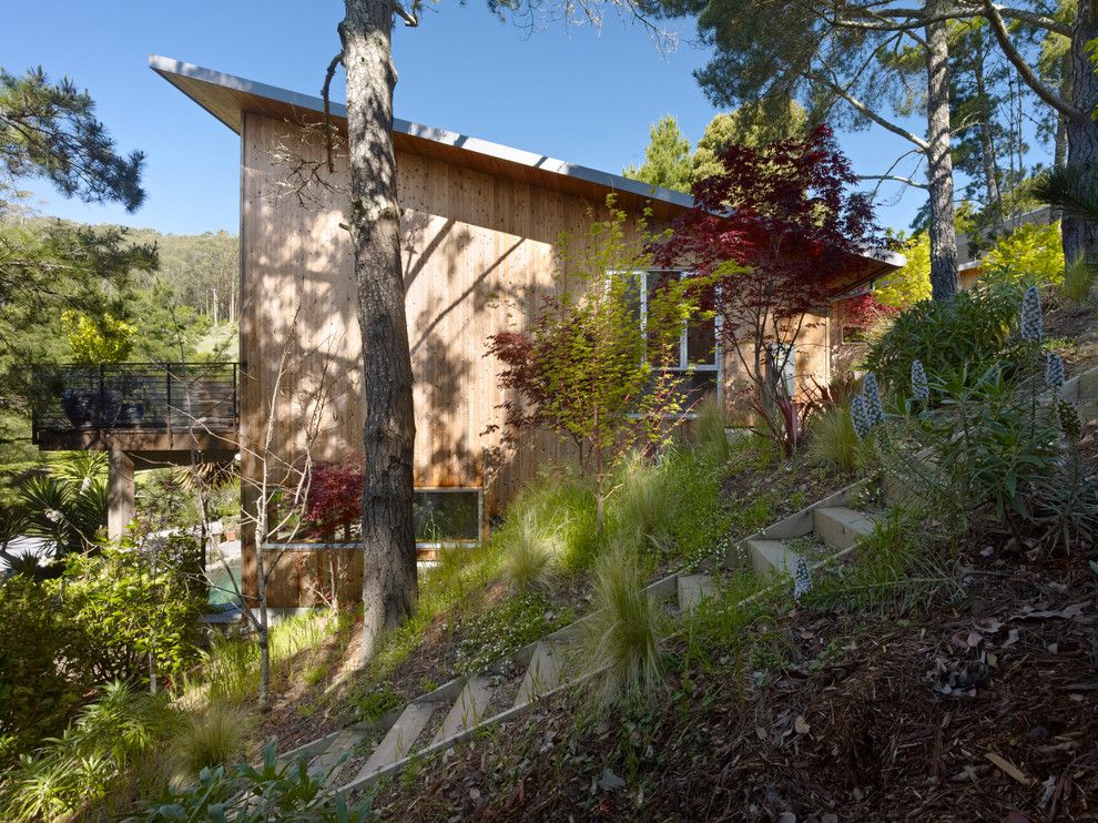 Allside for a Rustic Exterior with a Outdoor Steps and Mill Valley House by Yamamar Design