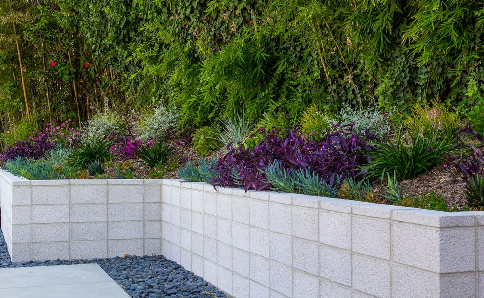 Angelus Block for a Contemporary Landscape with a Concrete Coping and Modern Minimalist by Dp Environments