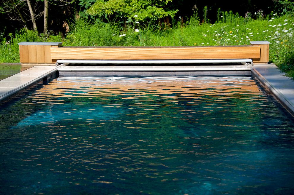 Aquatech for a Contemporary Pool with a Gunite and Geometric Elements   East Falls, Pa by Armond Aquatech Pools