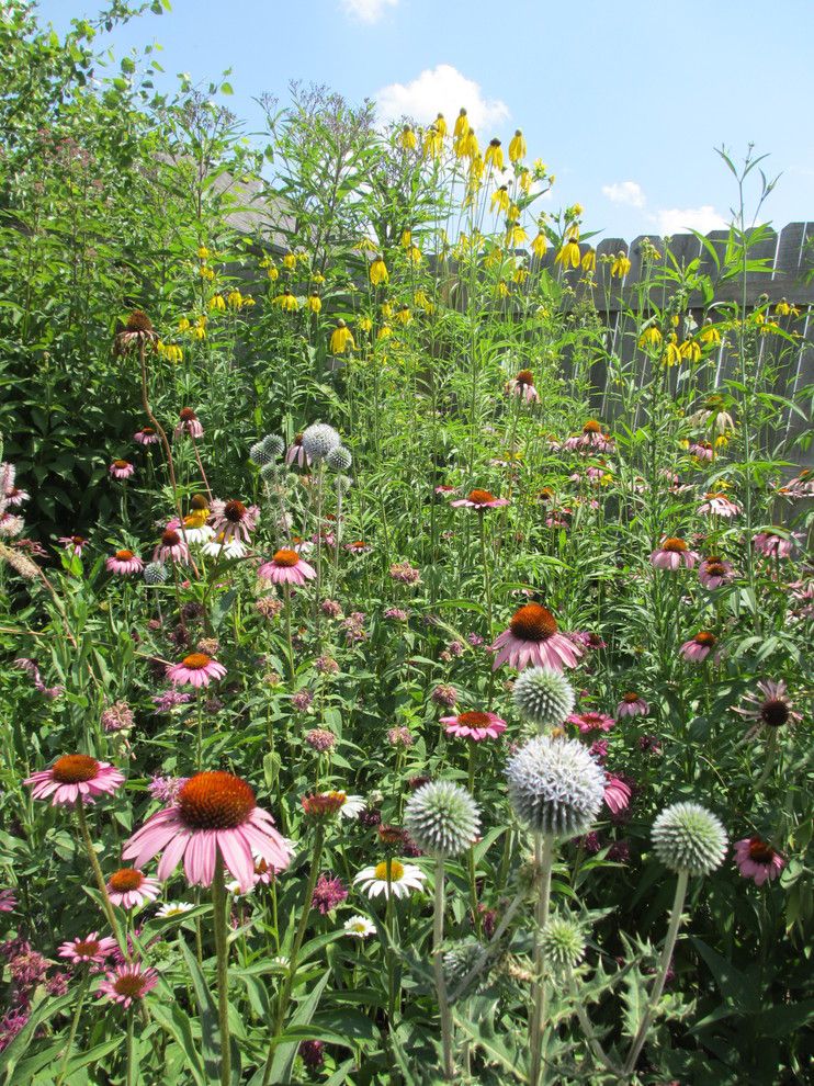 Armstrong Garden Centers for a  Landscape with a  and How to Look Beyond Butterfly Bush When Planting for Wildlife by Benjamin Vogt / Monarch Gardens