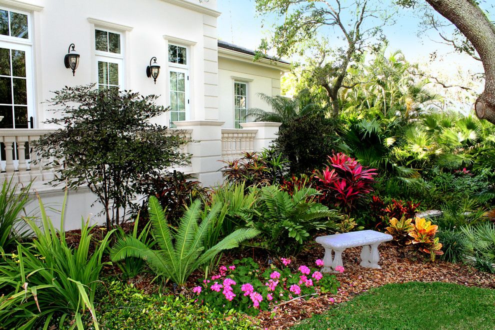 Armstrong Garden Centers for a Tropical Landscape with a Outdoor Lantern and Siesta Key Beach Front by Grants Gardens