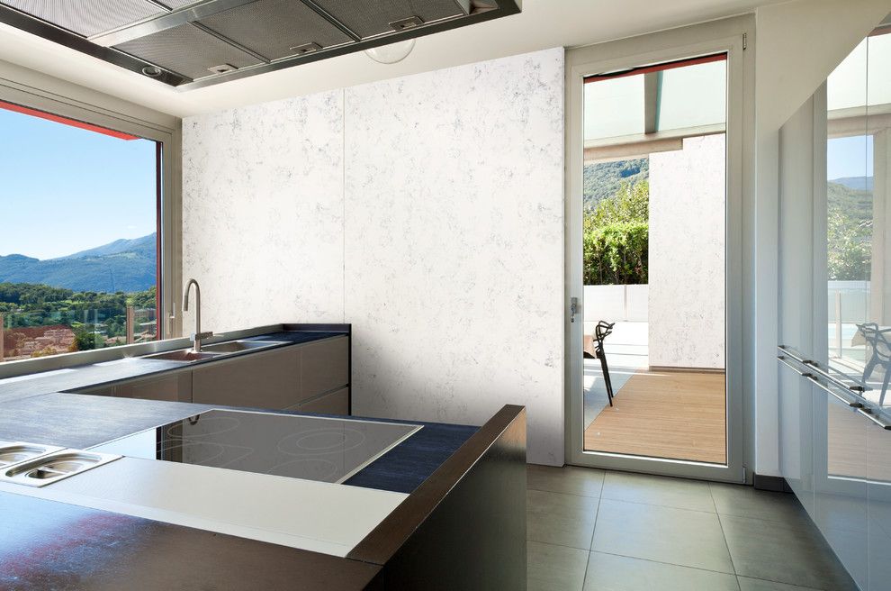 Asbestos Floor Tiles for a Transitional Kitchen with a Glass Door and Dupont Corian by Corian® Home Design