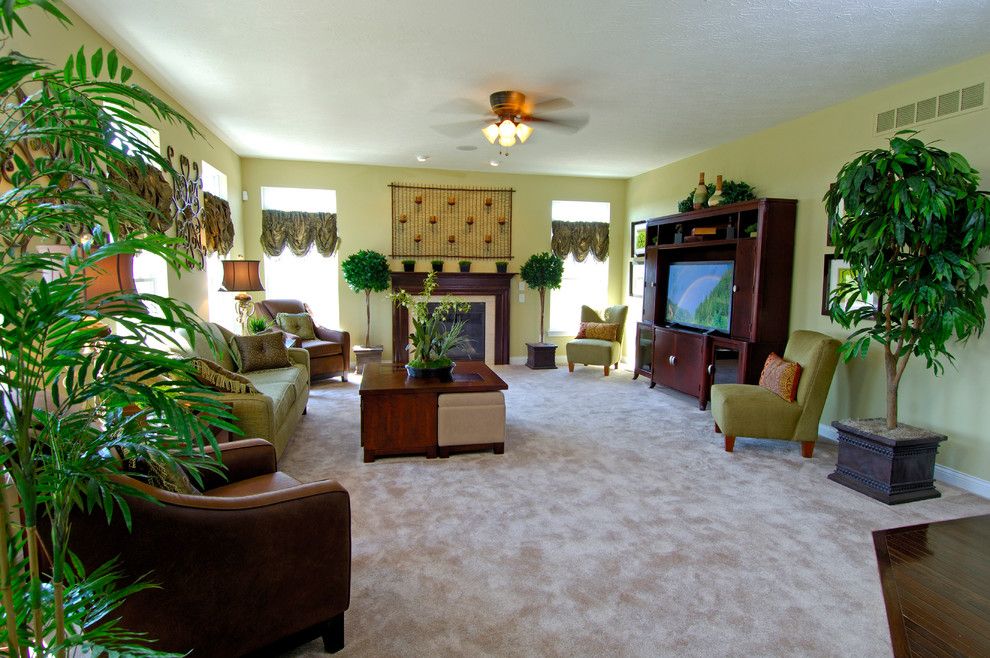 Ashford Homes for a Transitional Living Room with a Transitional and Ashford Homes Ohio by Patti Egan Rivera Designs