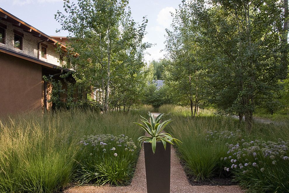 Atwal Eye Care for a Contemporary Landscape with a Low Water and Agave in Tapered Steel Container by the Garden Consultants, Inc.