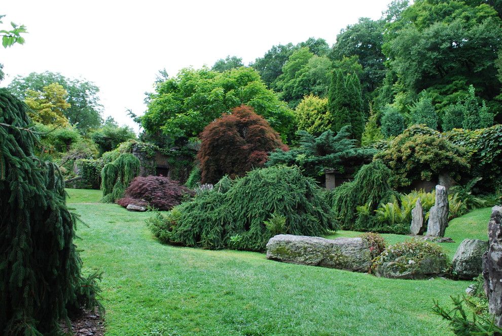 Berns Garden Center for a Eclectic Spaces with a Japanese Maples and Weeping Norway Spruce and Maples at Innisfree. by Jay Sifford Garden Design