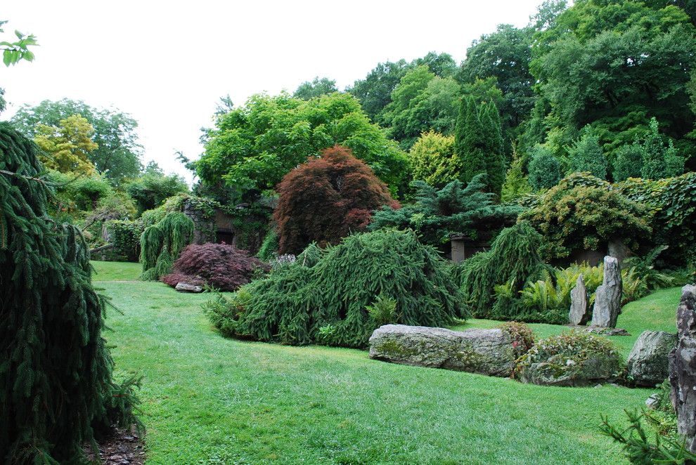 Berns Garden Center for a Eclectic Spaces with a Japanese Maples and Weeping Norway Spruce and Maples at Innisfree. by Jay Sifford Garden Design