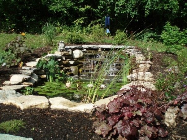 Bloomin Gardens for a  Landscape with a Pond and Landscaping / Our Work by Bloomin Garden Centre