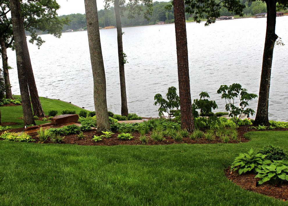 Bottlebrush for a Beach Style Landscape with a Bottlebrush Buckeye and Water's Edge by West Winds Nursery Llc