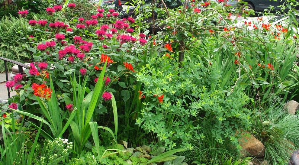 Brownstone Gardens for a Contemporary Landscape with a Blooming Perennials and Carroll Gardens, Brooklyn Front Garden by Staghorn Nyc