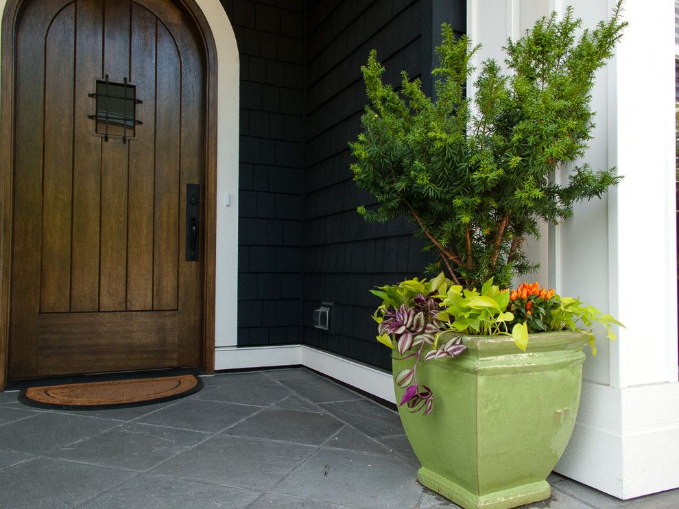 California Grizzly Bear for a  Landscape with a Conifer and Conifers in Containers by Le Jardinet