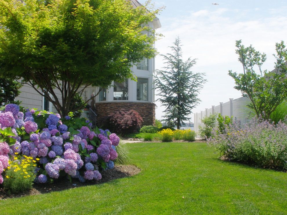 Chinese Fringe Flower for a Traditional Landscape with a Beige Exterior and Waterfront Home by Pdrdesigns, Llc