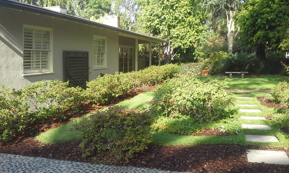 Chinese Fringe Flower for a Traditional Landscape with a Front Yard and Specialized Maintenance by the Garden Natives