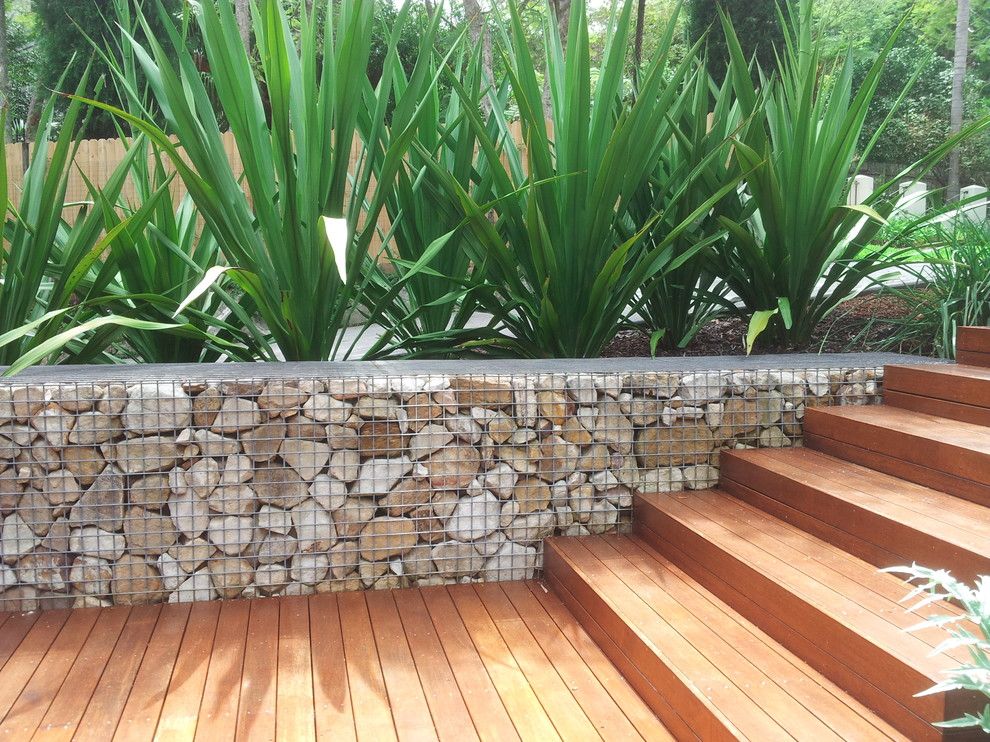 Cinder Block Retaining Wall for a  Spaces with a  and Killara Garden Arrival Courtyard Garden ,Modern Australian Theme by Banksia Design Group Andrew Davies Designer