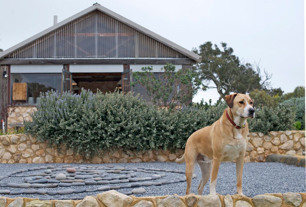 Coast Guard Emblem for a Rustic Exterior with a Mediation and My Houzz: Artist Home and Studio Overlooking Kangaroo Island by Jeni Lee