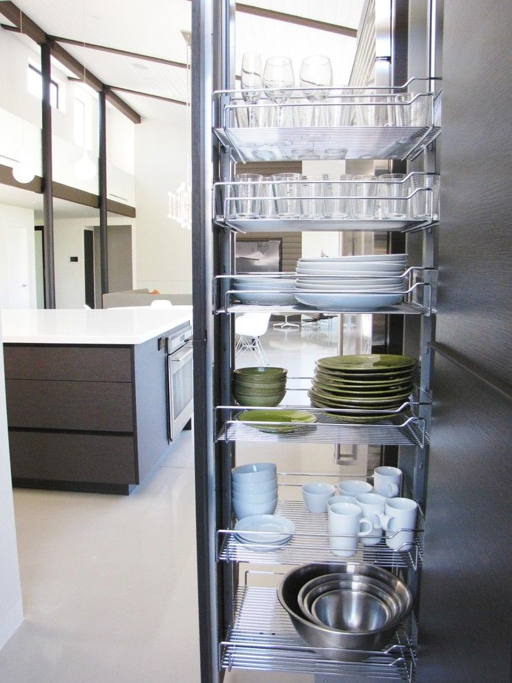 Contra Costa Appliance for a Midcentury Kitchen with a Organization and Houzz Tour: A Labor of Modern Love in Costa Mesa by Tara Bussema   Neat Organization and Design