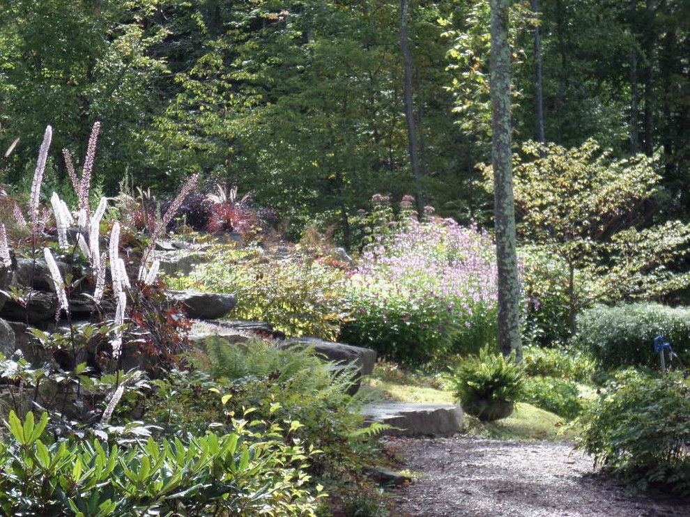 Cornus Racemosa for a Rustic Landscape with a Ferns and Exuberance by Zone4 Landscapes Ltd.