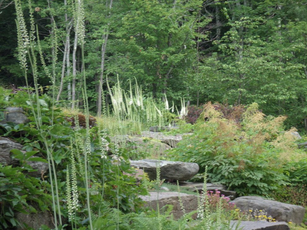 Cornus Racemosa for a Rustic Landscape with a Naturalistic and Fairy Candles?!? by Zone4 Landscapes Ltd.