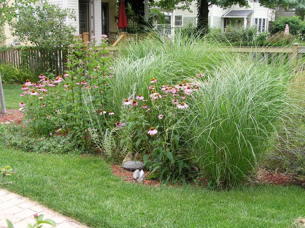 Cornus Sericea for a Contemporary Landscape with a Sun and Rain Garden Oak Park by Anne Roberts Gardens, Inc.