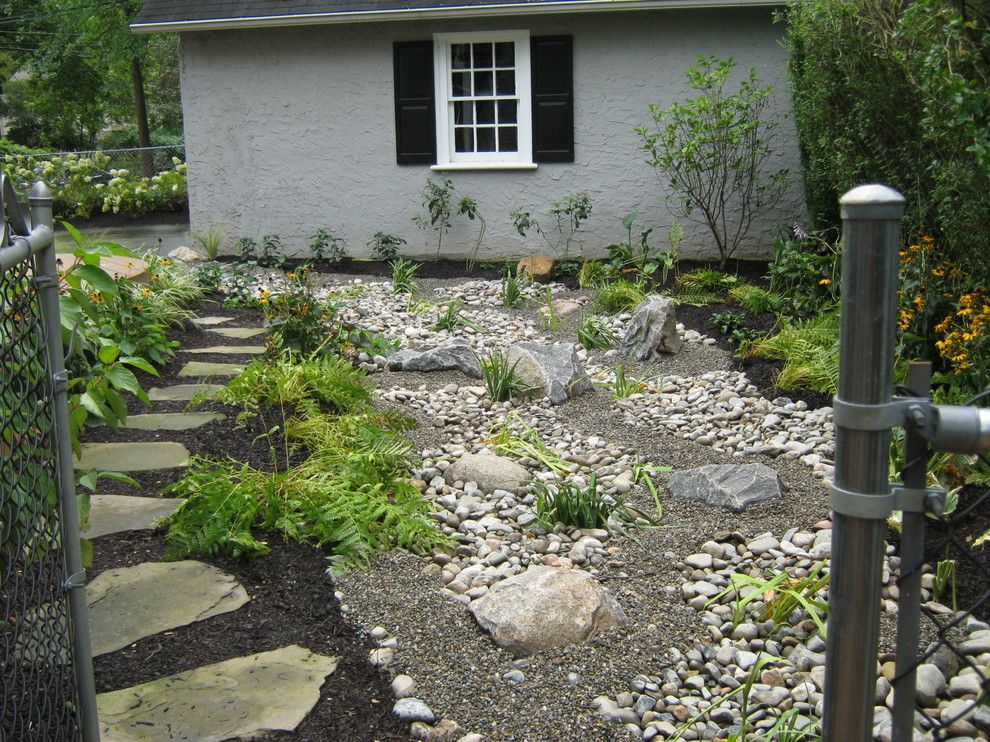 Cornus Sericea for a  Spaces with a Colorful and U2014 Ale: Wayne Rain Garden by Pennsylvania Landscape & Nursery Association