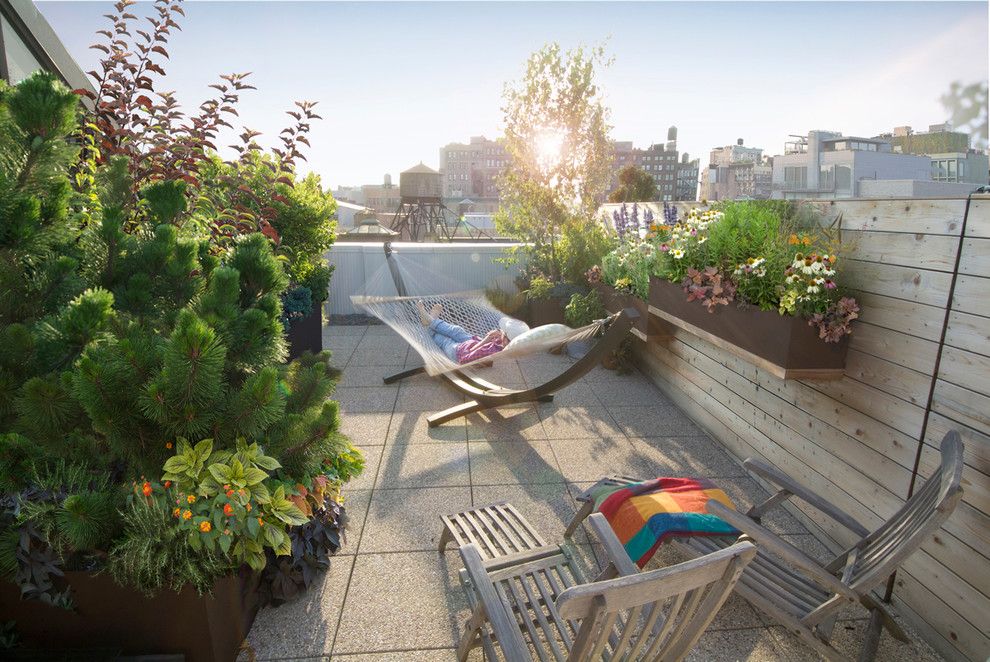 Culver City Theater for a Contemporary Deck with a Co Op and Noho Roof Garden by Todd Haiman Landscape Design