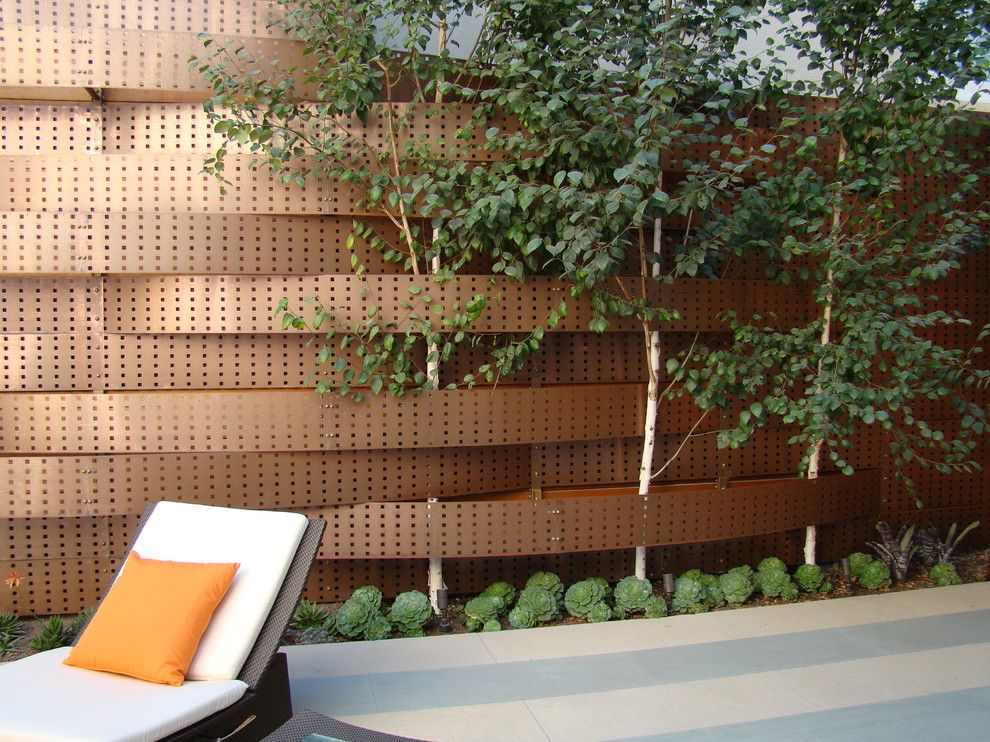 Dedon for a Contemporary Landscape with a Cedar and Pacific Heights by Randy Thueme Design Inc.   Landscape Architecture