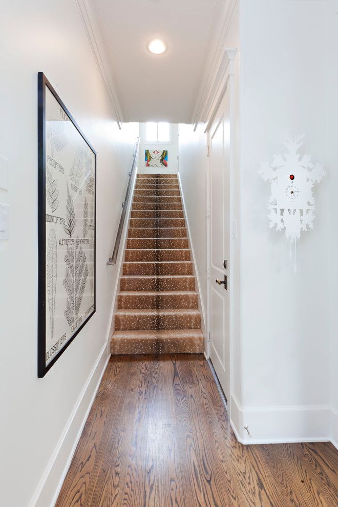 Dolphin Carpet and Tile for a Transitional Staircase with a Clean and Tangley @ by Sally Wheat Interiors