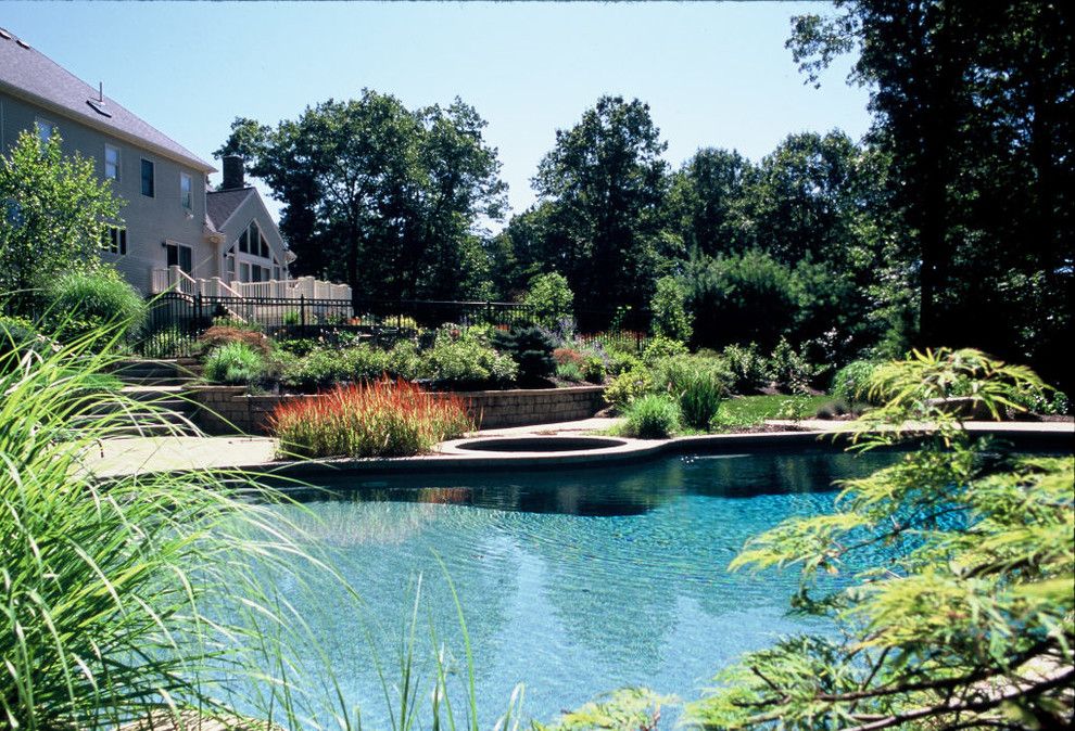 Dover Pools for a Traditional Pool with a Walpole and Swimming Pools by Landscape Oasis Llc