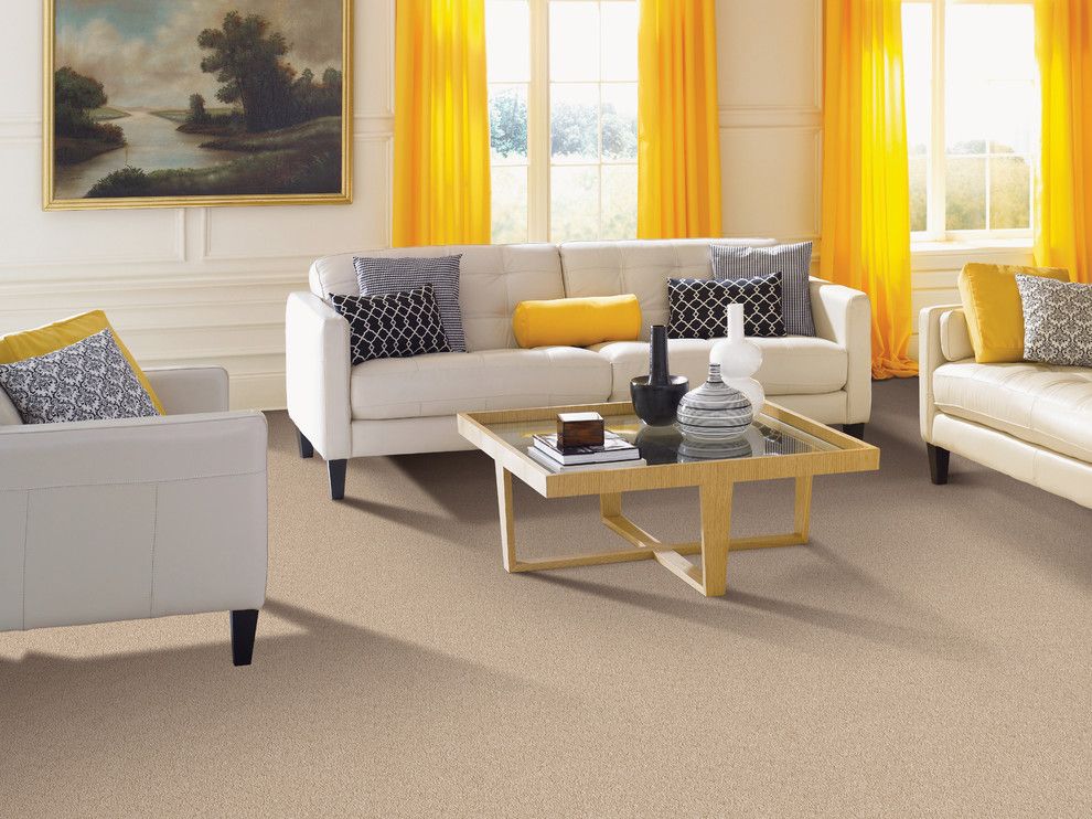Dr Horton Az for a Traditional Living Room with a Yellow Accents and Living Room by Carpet One Floor & Home