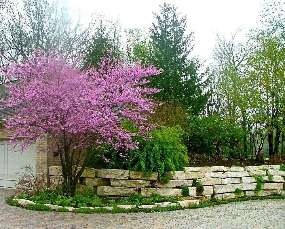 Drakes Landing for a Traditional Landscape with a Ground Cover and Residential Landscape Throughout the Growing Season by the American Gardener, Llc