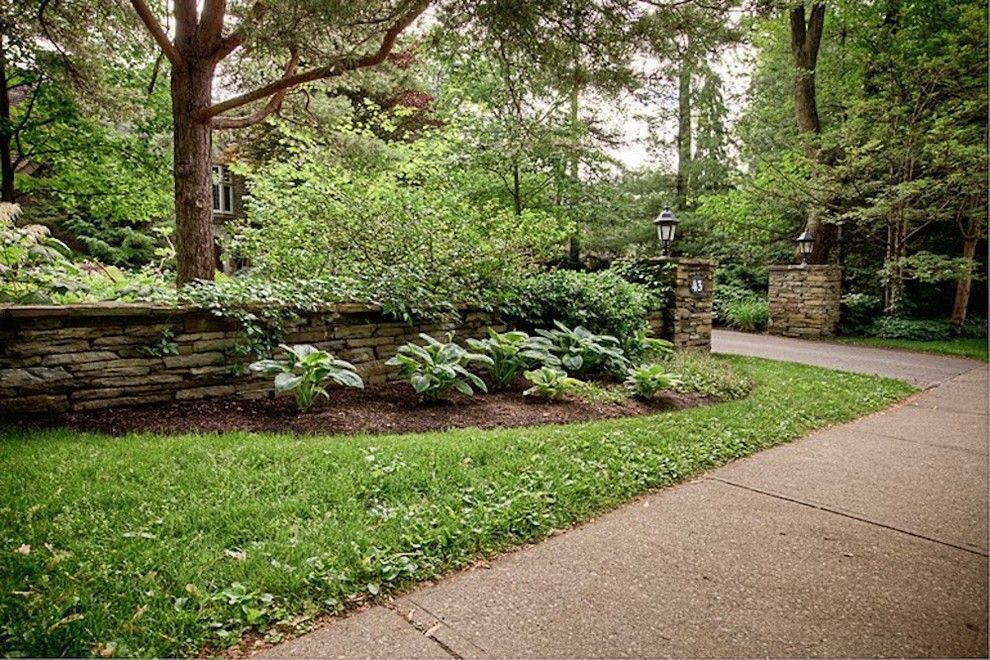 Drying Hydrangeas for a Traditional Landscape with a Deep Garden Beds and Timeless by Landscape Plus Ltd