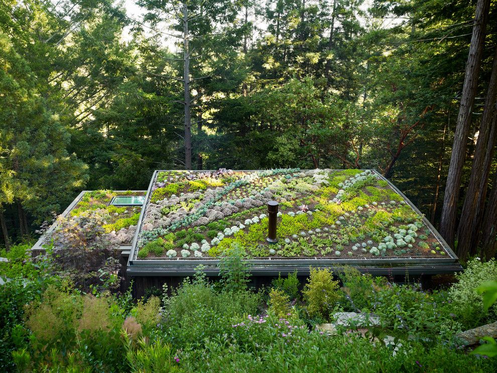 Edens Garden for a Contemporary Shed with a Weathered Wood and Mill Valley Cabins by Feldman Architecture, Inc.