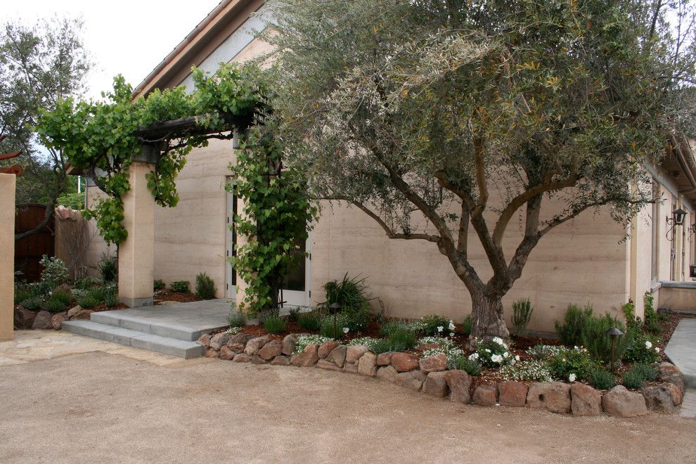 Espalier Fruit Trees for a Mediterranean Landscape with a Rocks and Ramekins Culinery & Event Center by Franciscan Landscape