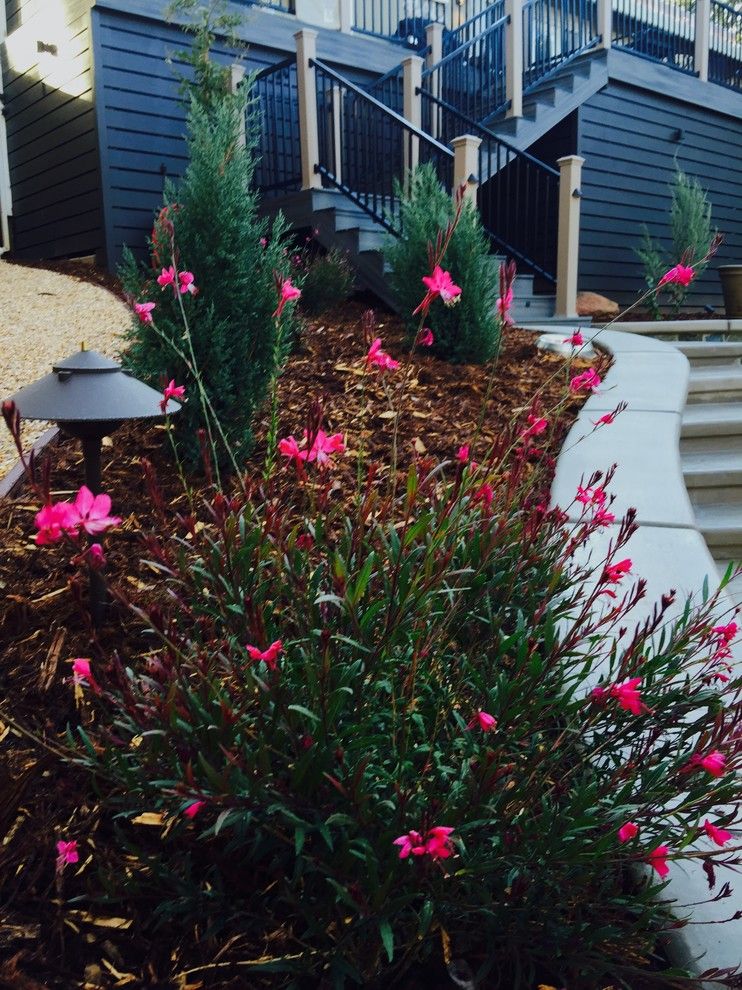 Evans Landscaping for a Eclectic Spaces with a Native Stone Walls and Post Renovation   Twin Oaks Road by Debby Evans Garden Design