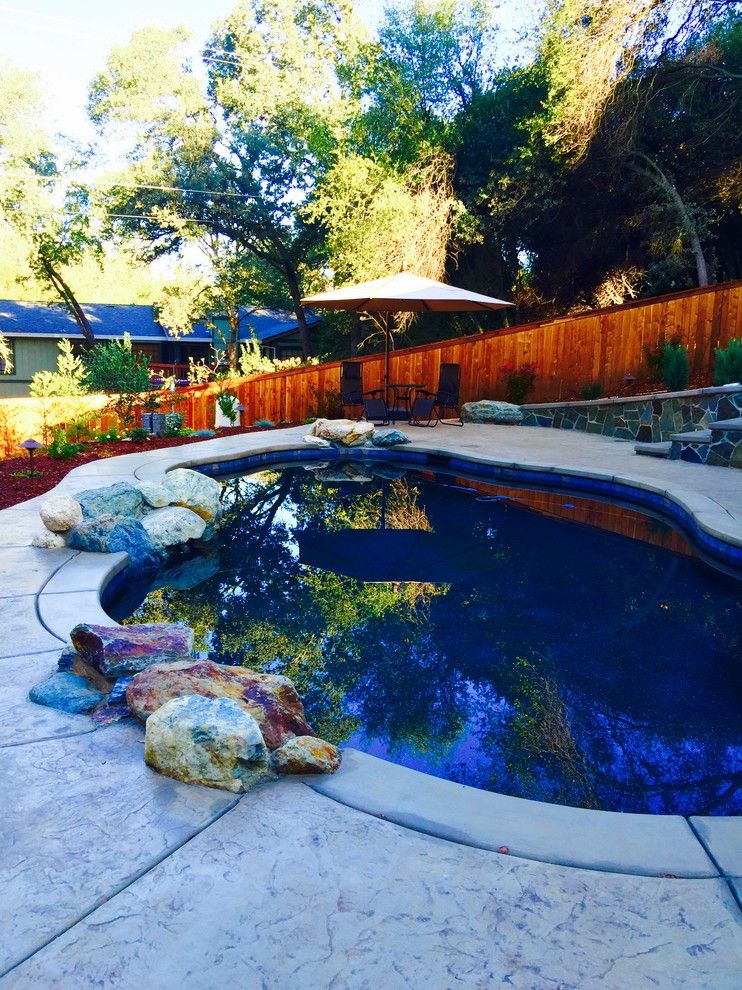 Evans Landscaping for a Eclectic Spaces with a Natural Pool and Post Renovation   Twin Oaks Road by Debby Evans Garden Design